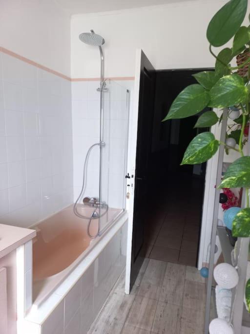 Maison Avec Piscine Proche Des Thermes Mauleon-D'armagnac 外观 照片